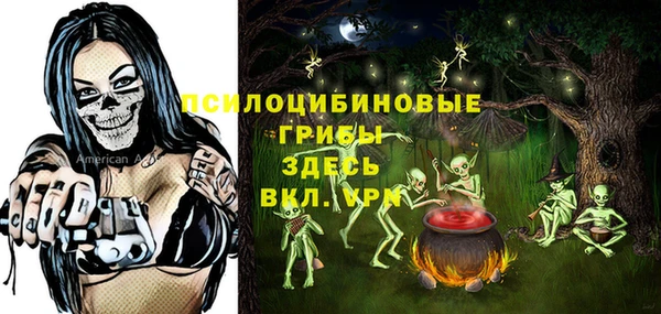 соль ск Абинск