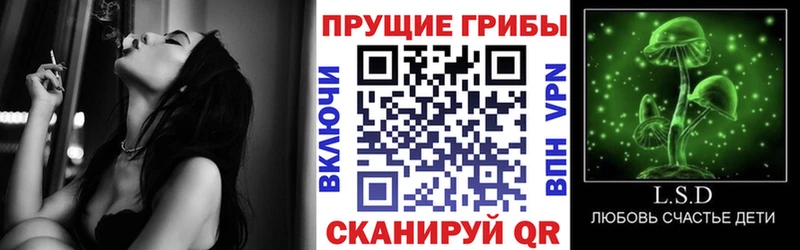 даркнет как зайти  Холм  Псилоцибиновые грибы GOLDEN TEACHER  купить   kraken онион 